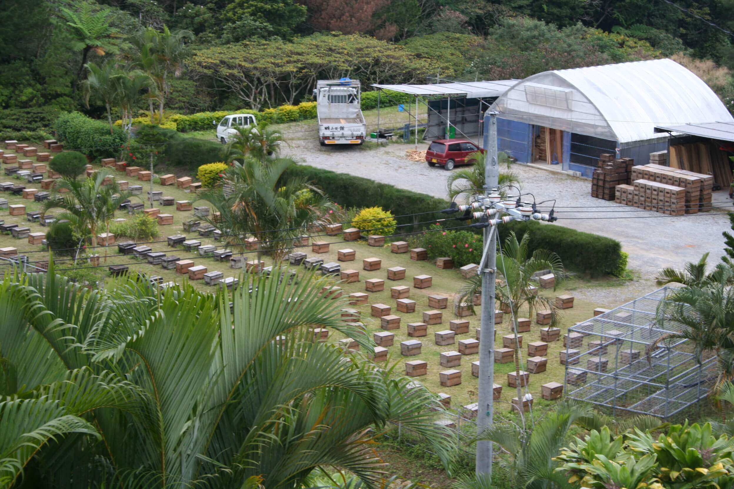 平成14年 沖縄県に種蜂養成センター完成